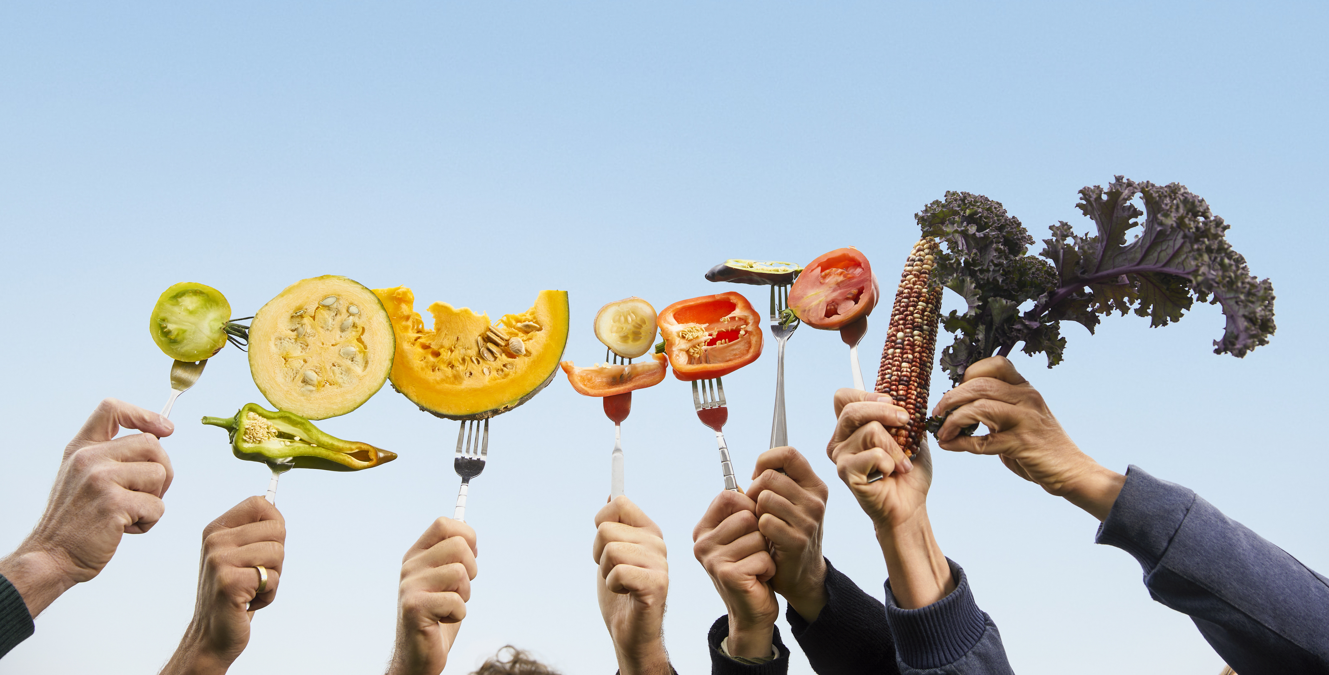 Raise our forks for diversity Arche Noah